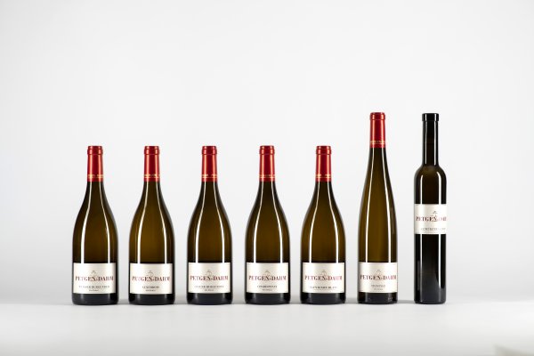 12er Paket DIE ALTEN REBEN & WEINE FÜR BESONDERE ANLÄSSE